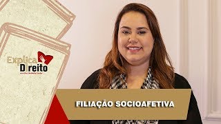 Explica Direito Filiação Socioafetiva  2019 [upl. by Etteloiv]