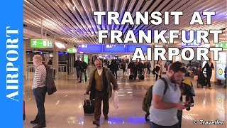 TRANSIT WALK AT FRANKFURT Airport FRA Terminal 1  Connection Flight Transfer Arriving amp Departing [upl. by Emsmus]